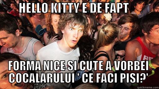         HELLO KITTY E DE FAPT              FORMA NICE SI CUTE A VORBEI COCALARULUI ' CE FACI PISI?' Sudden Clarity Clarence