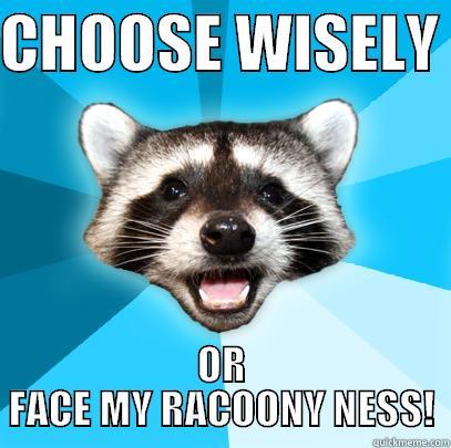 CHOOSE WISELY  OR FACE MY RACOONY NESS! Lame Pun Coon