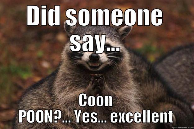 DID SOMEONE SAY... COON POON?... YES... EXCELLENT Evil Plotting Raccoon