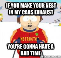 if you make your nest in my cars exhaust  You're gonna have a bad time  Aspen Ski Instructor