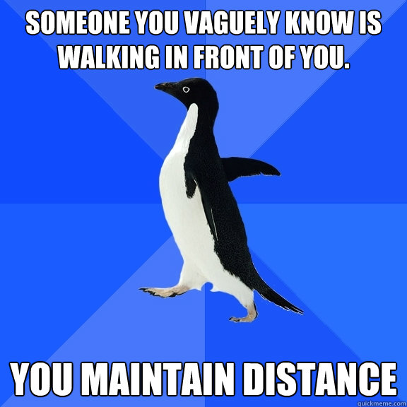 Someone you vaguely know is walking in front of you. You maintain distance  Socially Awkward Penguin
