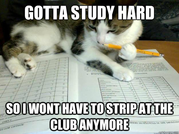 Gotta study hard  so i wont have to strip at the club anymore  Study Cat