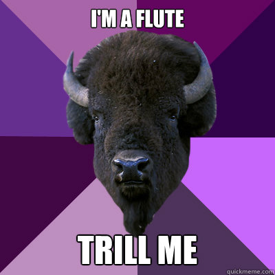 i'm a flute trill me  Band Buffalo