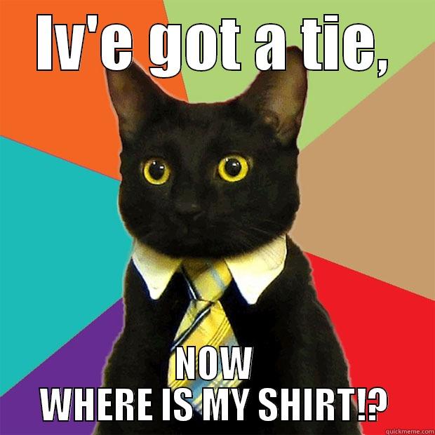 IV'E GOT A TIE, NOW WHERE IS MY SHIRT!? Business Cat