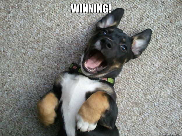 Winning! - Winning!  Happy Puppy