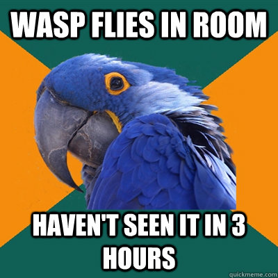 wasp flies in room haven't seen it in 3 hours  Paranoid Parrot