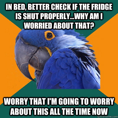 in bed, better check if the fridge is shut properly...why am I worried about that? worry that I'm going to worry about this all the time now  Paranoid Parrot
