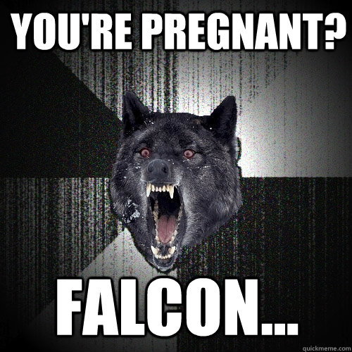 You're pregnant? Falcon...  Insanity Wolf