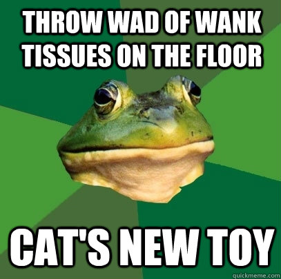 Throw wad of wank tissues on the floor Cat's new toy  Foul Bachelor Frog