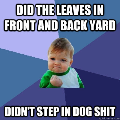 Did the leaves in front and back yard Didn't step in dog shit - Did the leaves in front and back yard Didn't step in dog shit  Success Kid