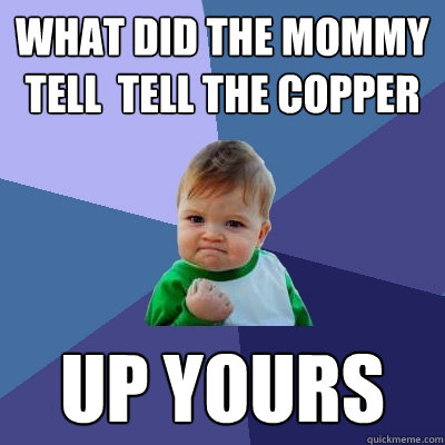 What Did The Mommy  Tell  tell the copper up Yours  Success Kid