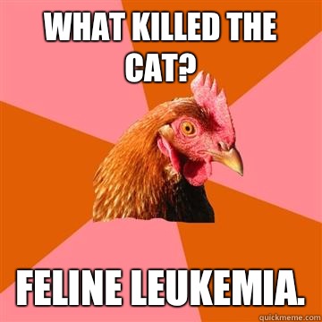 What killed the cat? Feline Leukemia.  Anti-Joke Chicken
