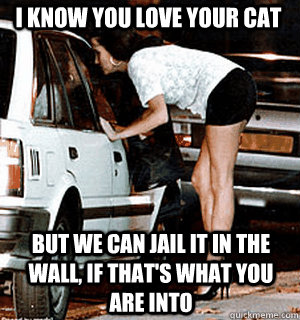I know you love your cat but we can jail it in the wall, if that's what you are into  Karma Whore