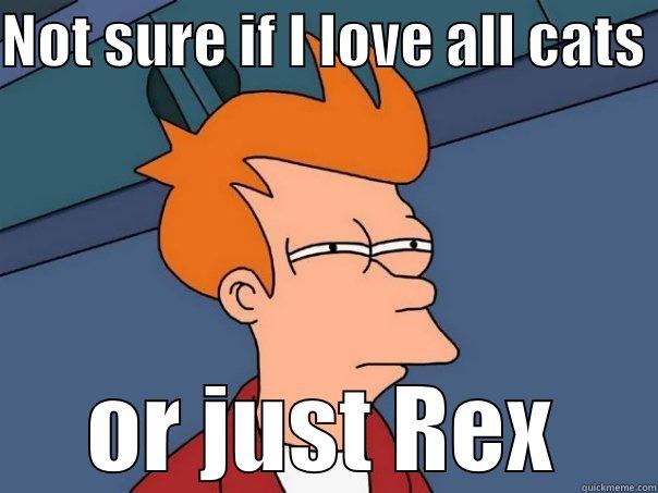 NOT SURE IF I LOVE ALL CATS  OR JUST REX Futurama Fry