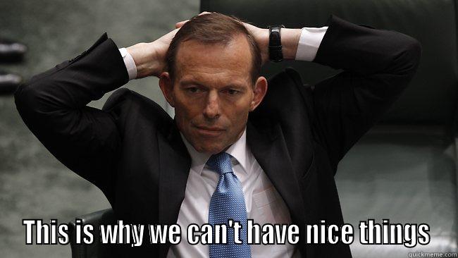  THIS IS WHY WE CAN'T HAVE NICE THINGS Misc