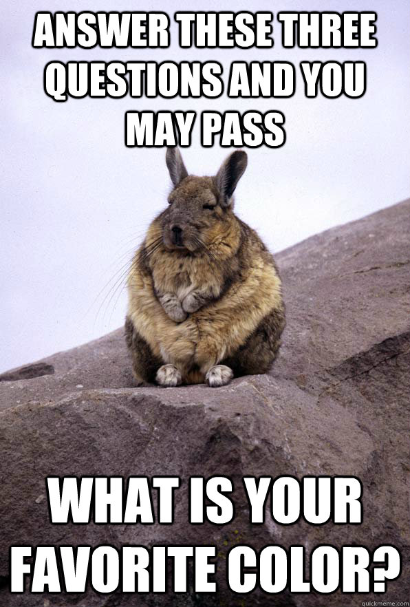 Answer these three questions and you may pass What is your favorite color?  Wise Wondering Viscacha