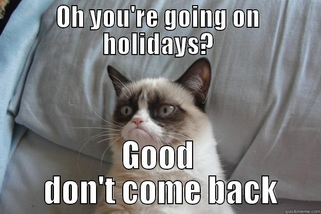 OH YOU'RE GOING ON HOLIDAYS? GOOD  DON'T COME BACK Grumpy Cat