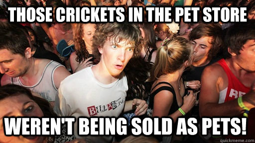 Those Crickets in the pet store weren't being sold as pets!  Sudden Clarity Clarence
