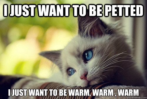 I just want to be petted I just want to be warm, warm , warm  First World Problems Cat