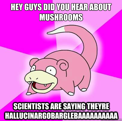 Hey Guys did you hear about mushrooms scientists are saying theyre hallucinargobarglebaaaaaaaaaa  Slowpoke