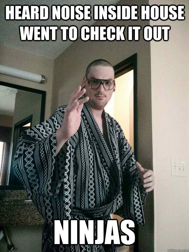 HEARD NOISE INSIDE HOUSE WENT TO CHECK IT OUT ninjas  Kung Fu Kenny