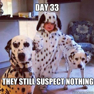 they still suspect nothing