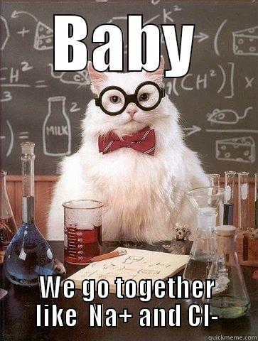 Na+ and Cl- - BABY WE GO TOGETHER LIKE  NA+ AND CL- Chemistry Cat