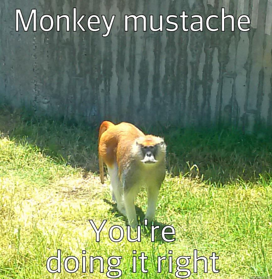 Nailed it! - MONKEY MUSTACHE YOU'RE DOING IT RIGHT Misc