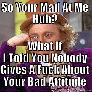 SO YOUR MAD AT ME HUH? WHAT IF I TOLD YOU NOBODY GIVES A FUCK ABOUT YOUR BAD ATTITUDE Condescending Wonka