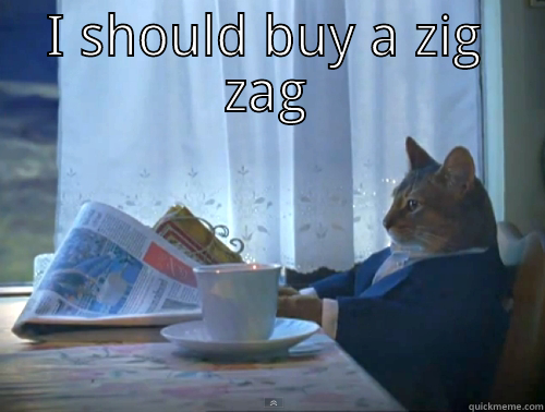 I SHOULD BUY A ZIG ZAG  The One Percent Cat