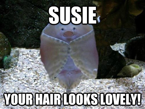 Susie your hair looks lovely!  