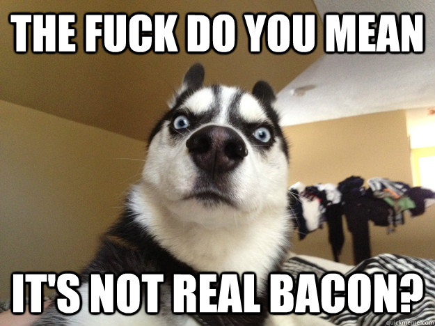 THE FUCK DO YOU MEAN IT'S NOT REAL BACON?  