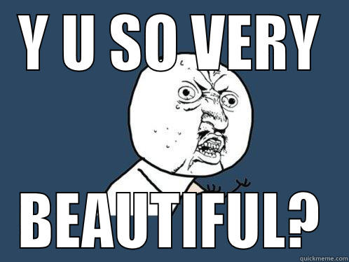 Y U SO VERY BEAUTIFUL? Y U No