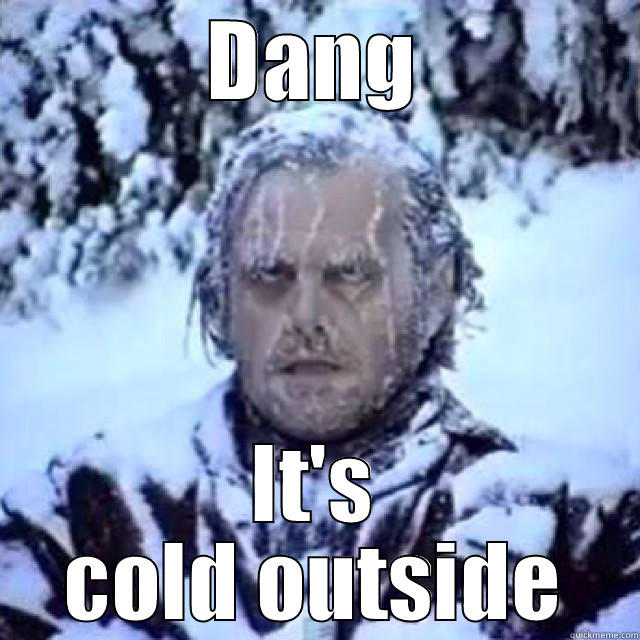 polar vortex - DANG IT'S COLD OUTSIDE Misc