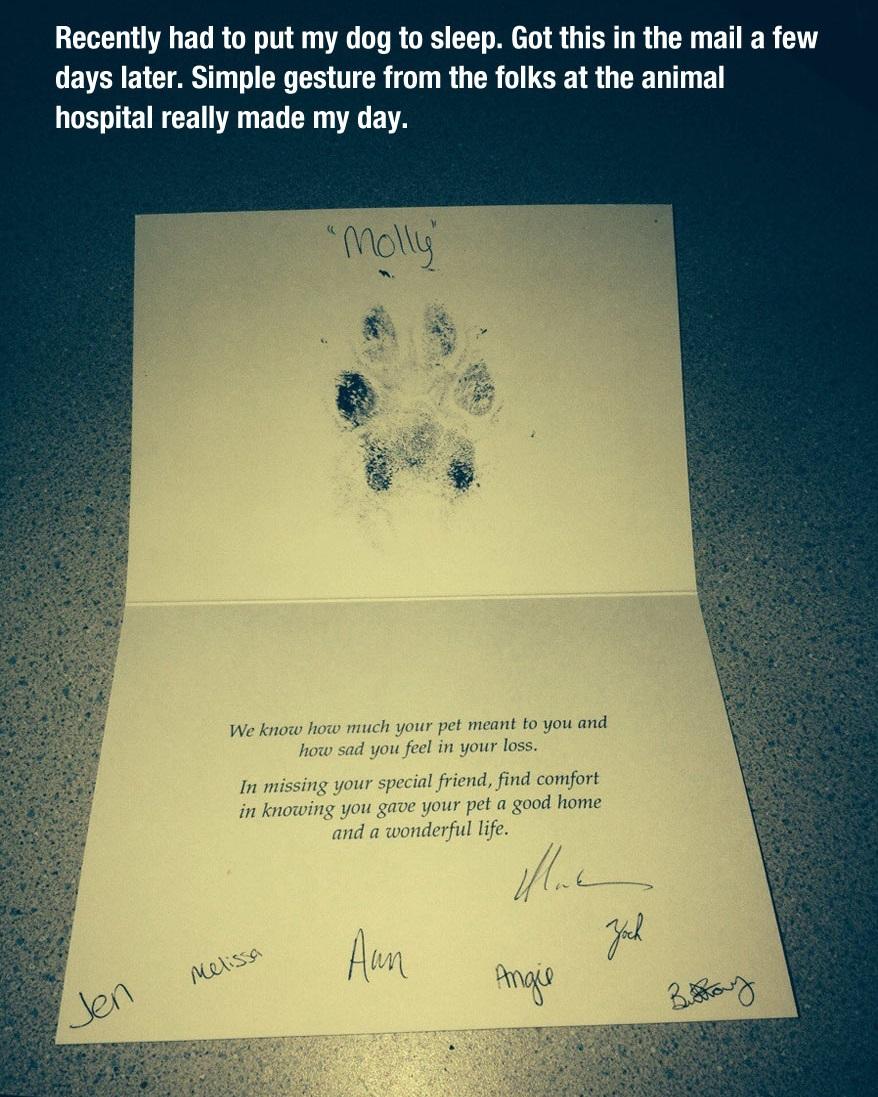 Guy Has To Put His Dog Down, Then He Gets This In The Mail A Few Days Later... -   Misc