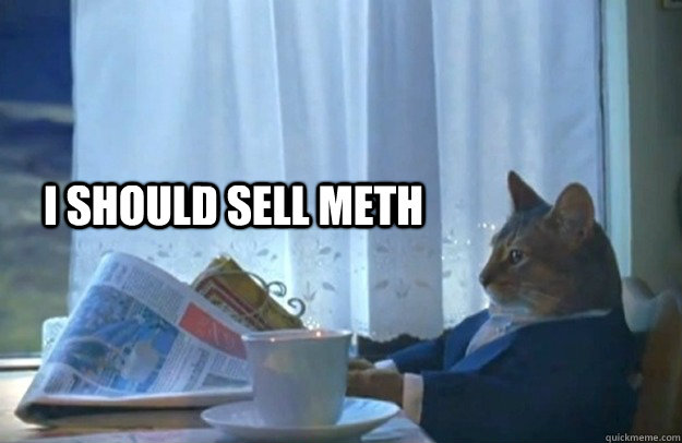 I should sell meth  Sophisticated Cat