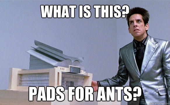 What is this? Pads for ants? - What is this? Pads for ants?  Center for Ants