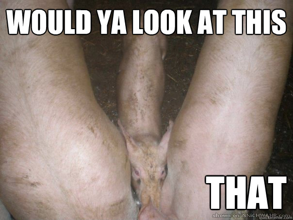 would ya look at this                             that  Look at this dick illusion