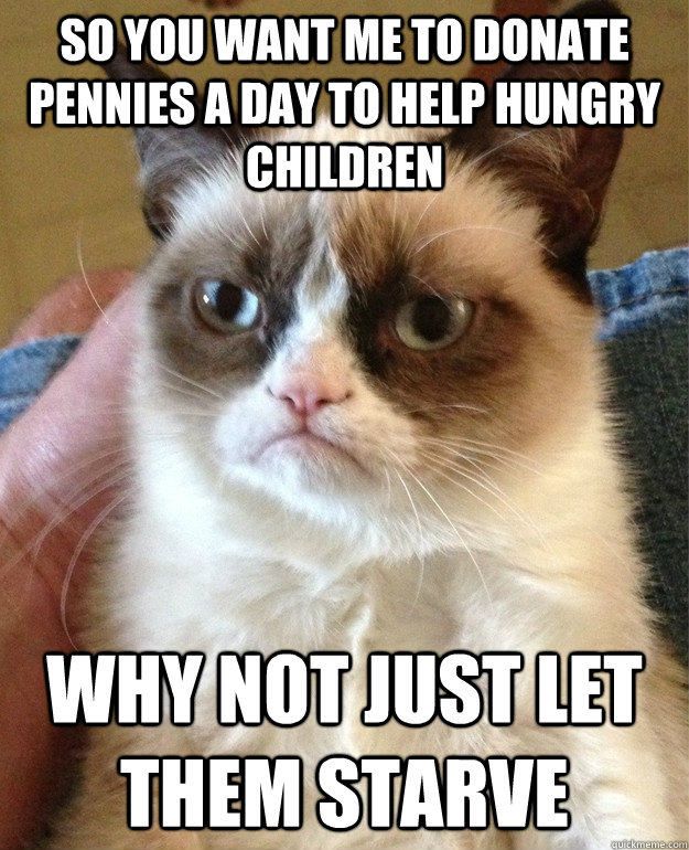 So you want me to donate pennies a day to help hungry children why not just let them starve - So you want me to donate pennies a day to help hungry children why not just let them starve  Grumpy Cat
