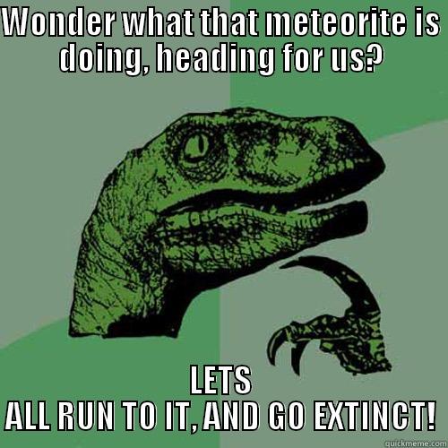 WONDER WHAT THAT METEORITE IS DOING, HEADING FOR US? LETS ALL RUN TO IT, AND GO EXTINCT! Philosoraptor