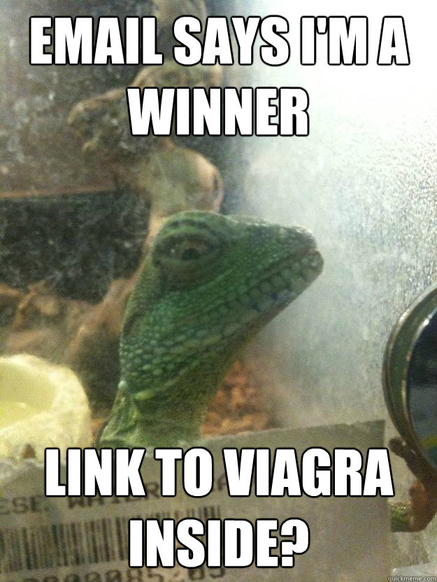 Email says I'm a winner link to viagra inside?  Leery Lizard