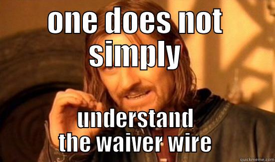 ONE DOES NOT SIMPLY UNDERSTAND THE WAIVER WIRE Boromir