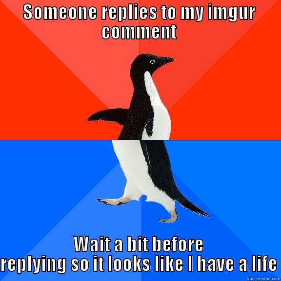 SOMEONE REPLIES TO MY IMGUR COMMENT WAIT A BIT BEFORE REPLYING SO IT LOOKS LIKE I HAVE A LIFE Socially Awesome Awkward Penguin