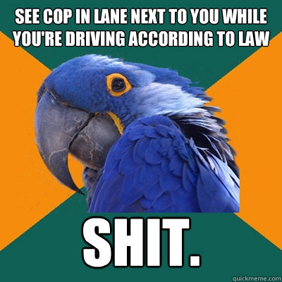see cop in lane next to you while you're driving according to law shit.  Paranoid Parrot