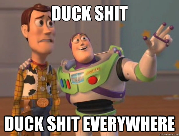 Duck shit duck shit everywhere  Buzz Lightyear