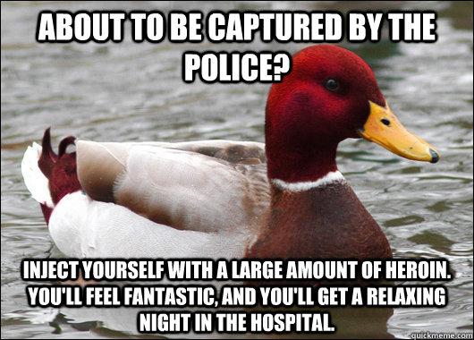 About to be captured by the police? Inject yourself with a large amount of heroin. You'll feel fantastic, and you'll get a relaxing night in the hospital.  Malicious Advice Mallard