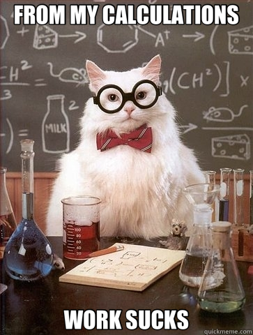 FROM MY CALCULATIONS WORK SUCKS  Chemistry Cat