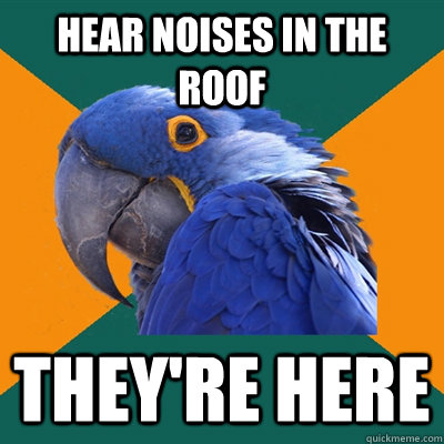 hear noises in the roof they're here  Paranoid Parrot