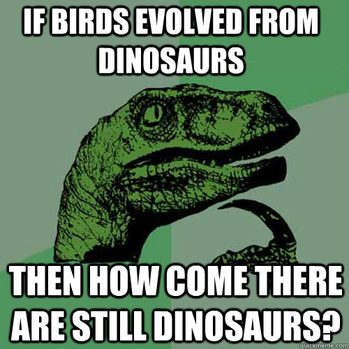 if birds evolved from dinosaurs then how come there are still dinosaurs? - if birds evolved from dinosaurs then how come there are still dinosaurs?  Philosoraptor