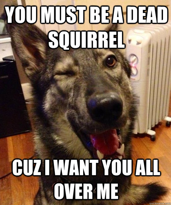 You must be a dead squirrel cuz I want you all over me  Pickup Pup
